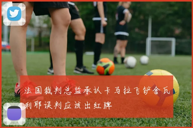 法国裁判总监承认卡马拉飞铲舍瓦利耶误判应该出红牌