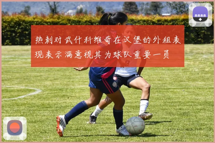 热刺对武什科维奇在汉堡的外租表现表示满意视其为球队重要一员
