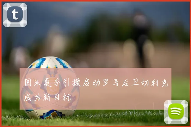 国米夏季引援启动罗马后卫切利克成为新目标