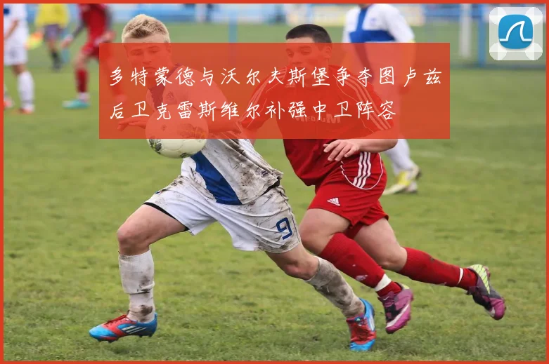 多特蒙德与沃尔夫斯堡争夺图卢兹后卫克雷斯维尔补强中卫阵容