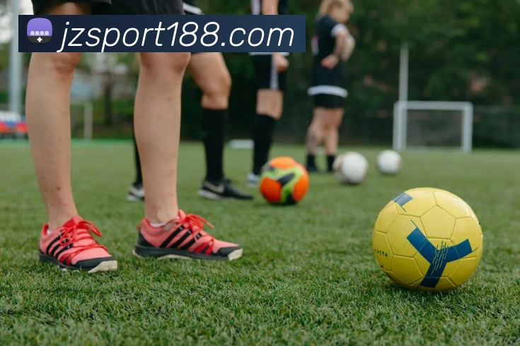 九州体育平台生态图